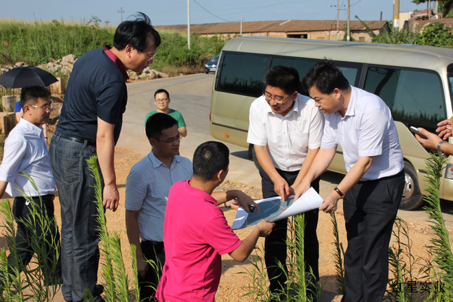 20150728区委副书记、区长张能峰调研红星大市场迁建项目