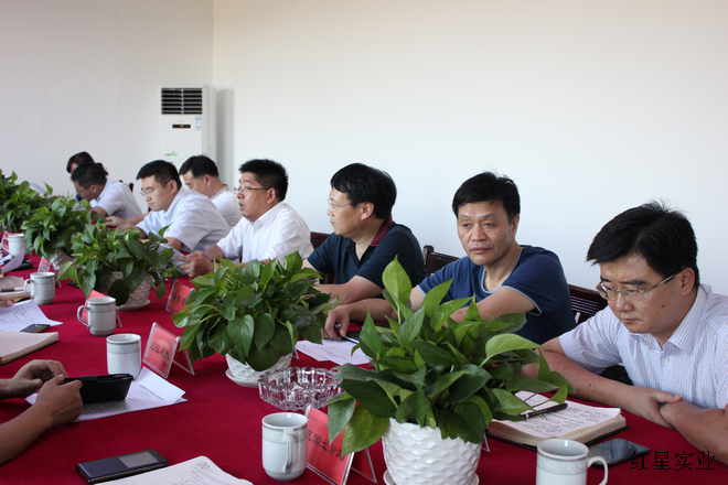 20150728区委副书记、区长张能峰调研红星大市场迁建项目