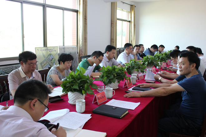 20150728区委副书记、区长张能峰调研红星大市场迁建项目