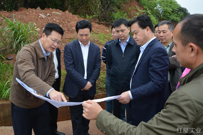 市领导调研红星市场迁建项目