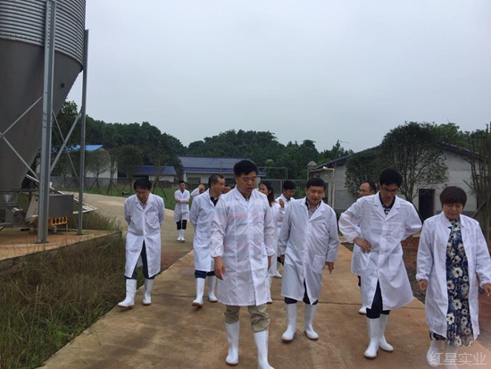 20170616益阳市相关部门领导调研兆丰农牧1.jpg