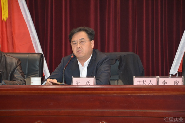 董事长罗跃总结讲话