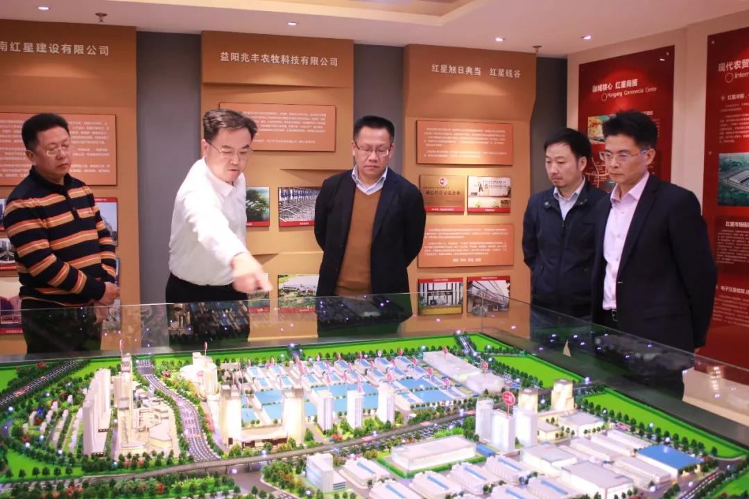 “红”流汇聚 共话发展