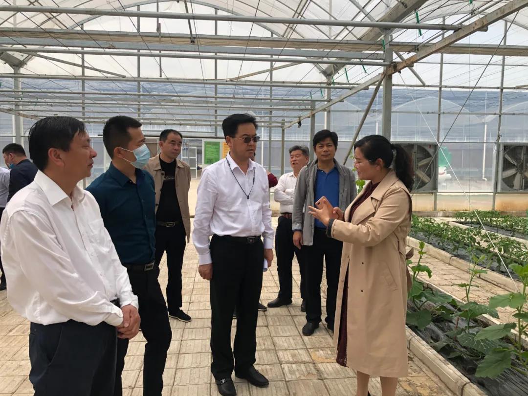 助推三产融合︱罗跃率团赴汉寿、湘乡考察