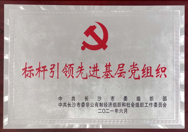 标杆引领先进基层党组织 (1).jpg
